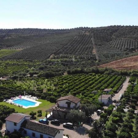 Agriturismo Trappeto Vecchio San Demetrio Corone 外观 照片