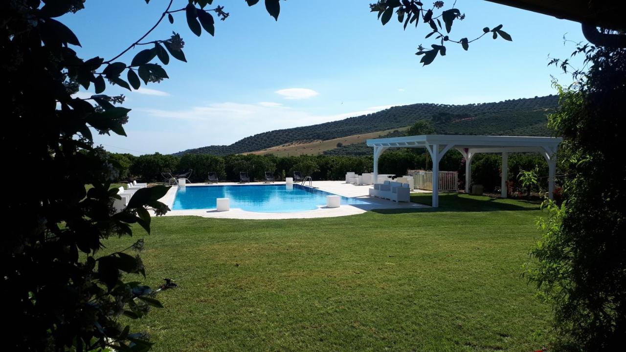 Agriturismo Trappeto Vecchio San Demetrio Corone 外观 照片