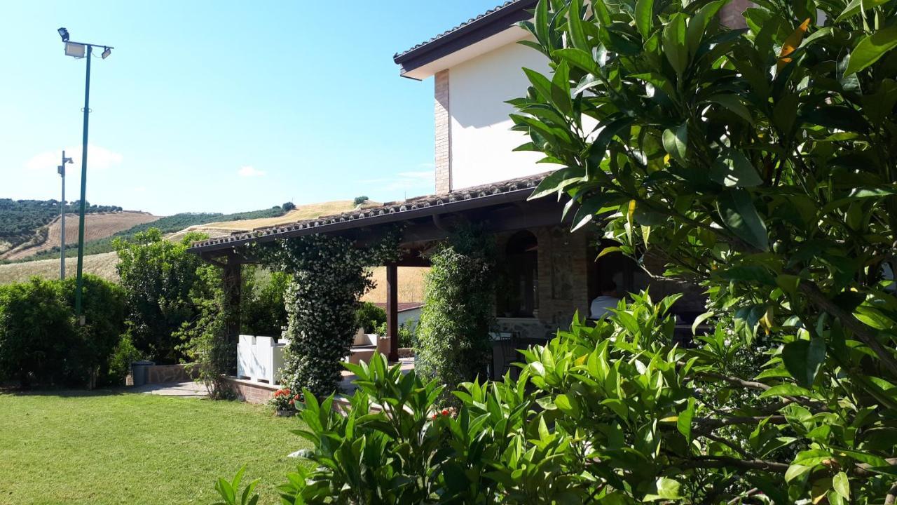 Agriturismo Trappeto Vecchio San Demetrio Corone 外观 照片
