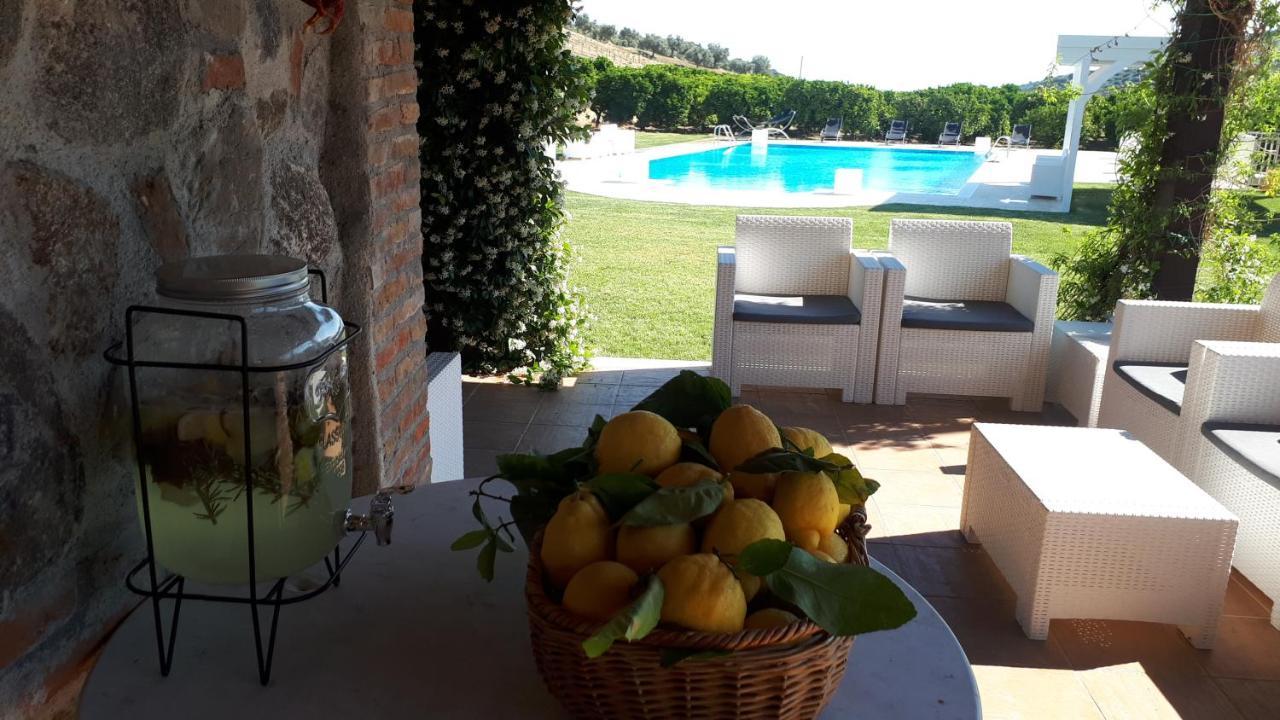 Agriturismo Trappeto Vecchio San Demetrio Corone 外观 照片