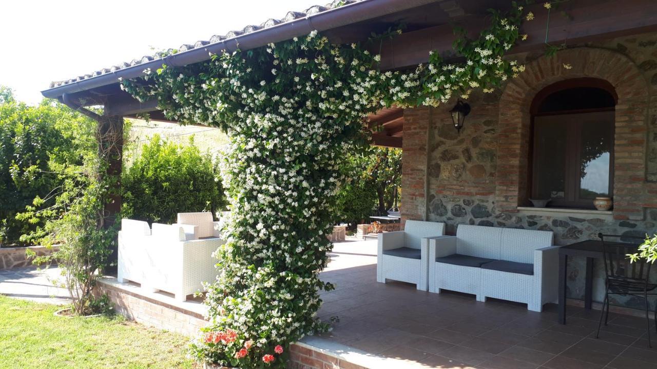 Agriturismo Trappeto Vecchio San Demetrio Corone 外观 照片