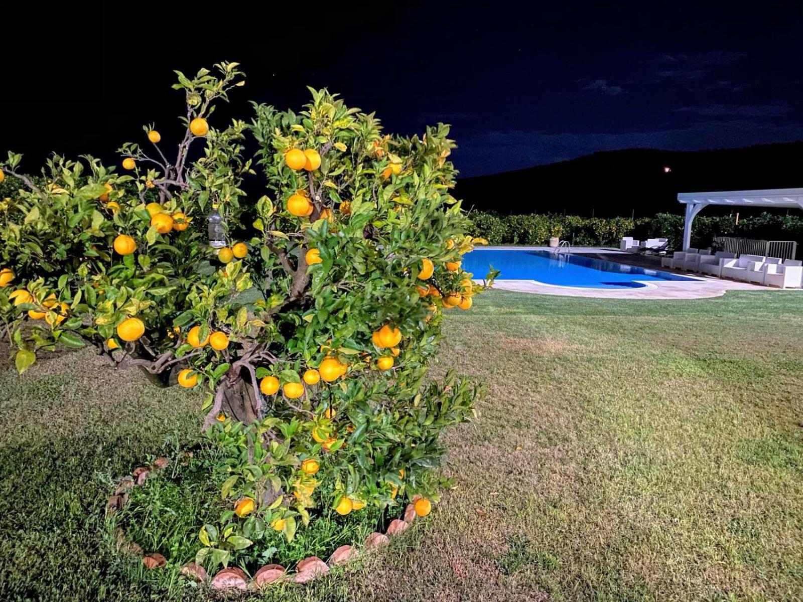 Agriturismo Trappeto Vecchio San Demetrio Corone 外观 照片