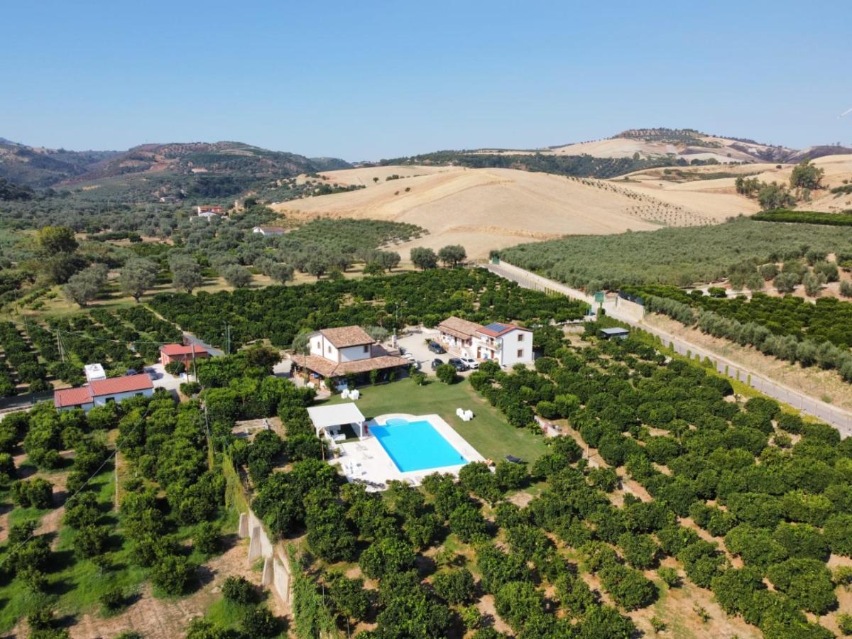 Agriturismo Trappeto Vecchio San Demetrio Corone 外观 照片