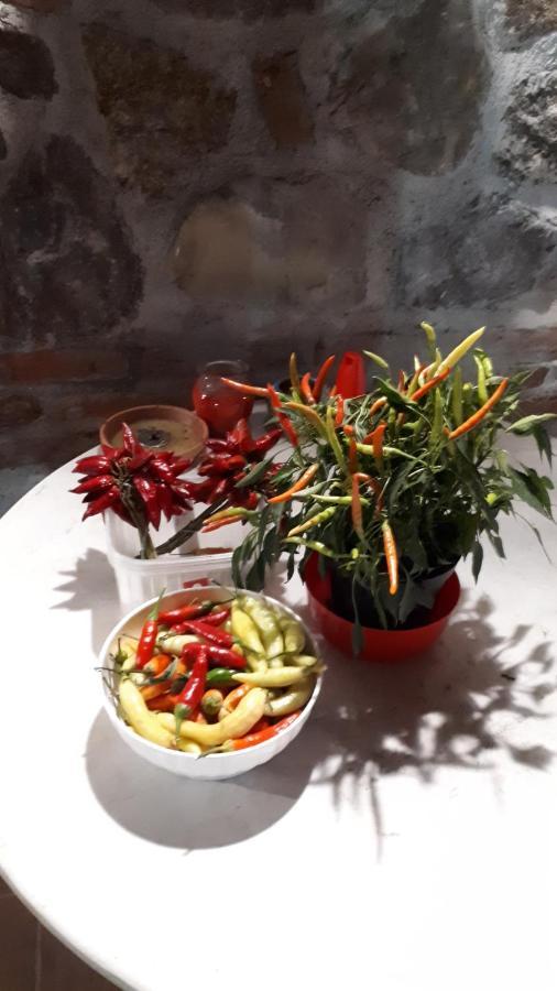 Agriturismo Trappeto Vecchio San Demetrio Corone 外观 照片