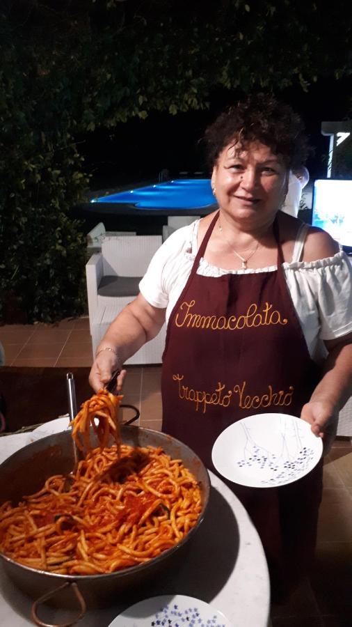 Agriturismo Trappeto Vecchio San Demetrio Corone 外观 照片
