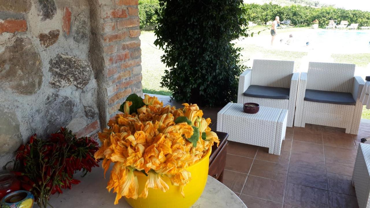 Agriturismo Trappeto Vecchio San Demetrio Corone 外观 照片