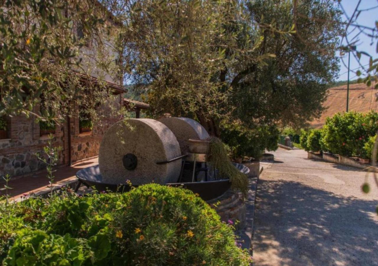 Agriturismo Trappeto Vecchio San Demetrio Corone 外观 照片