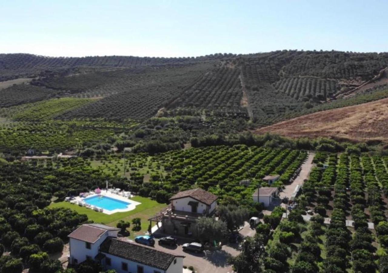 Agriturismo Trappeto Vecchio San Demetrio Corone 外观 照片