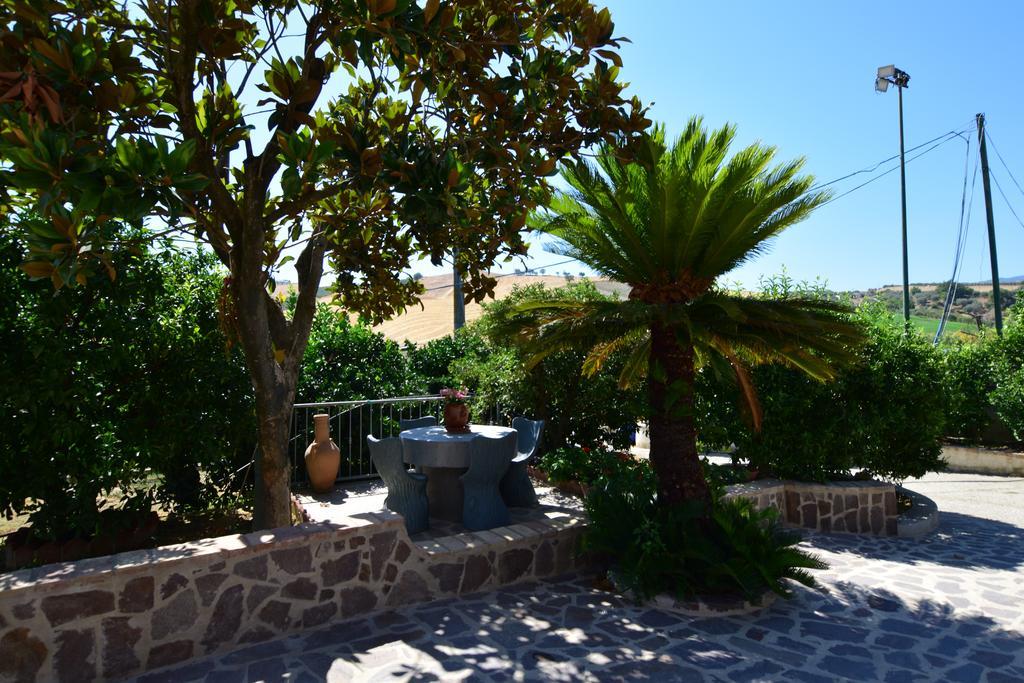 Agriturismo Trappeto Vecchio San Demetrio Corone 外观 照片