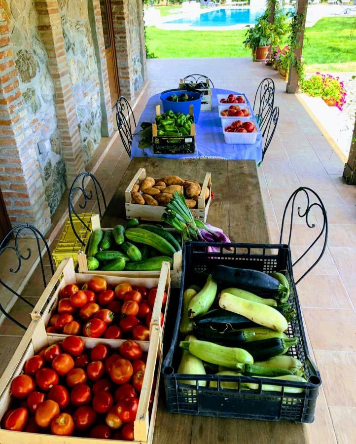 Agriturismo Trappeto Vecchio San Demetrio Corone 外观 照片